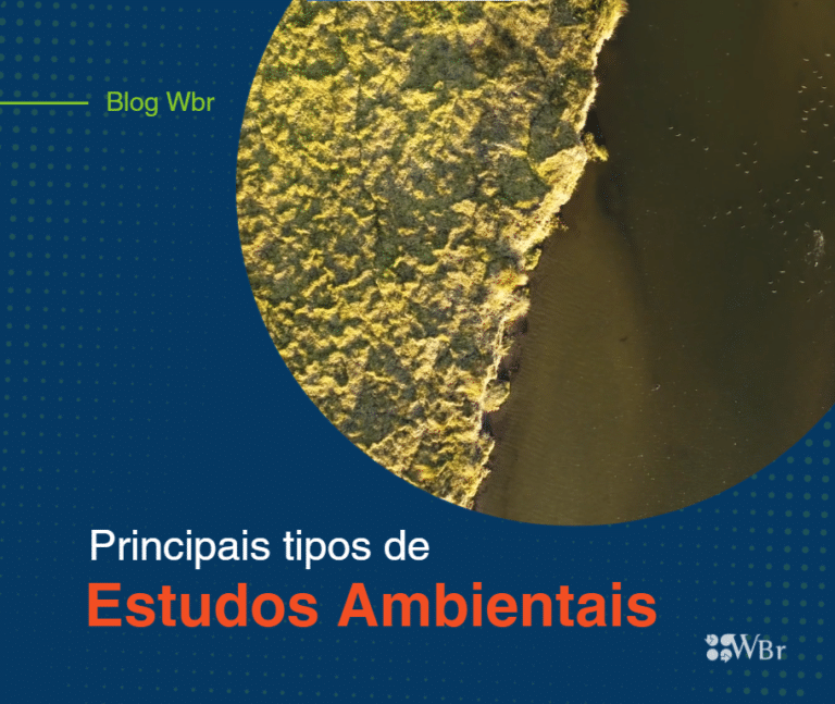 Principais Tipos De Estudos Ambientais Waterloo Consultoria Ambiental